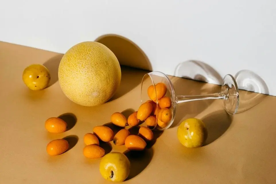 fruits vitaminée bio